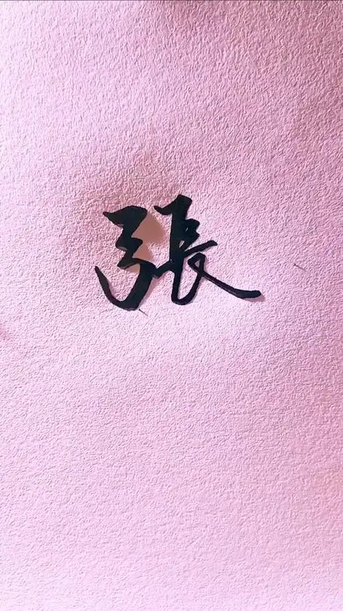 张姓写法,留名我签