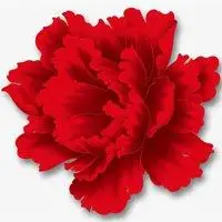 大红牡丹花微信头像图片大全【点击鼠标右键下载】