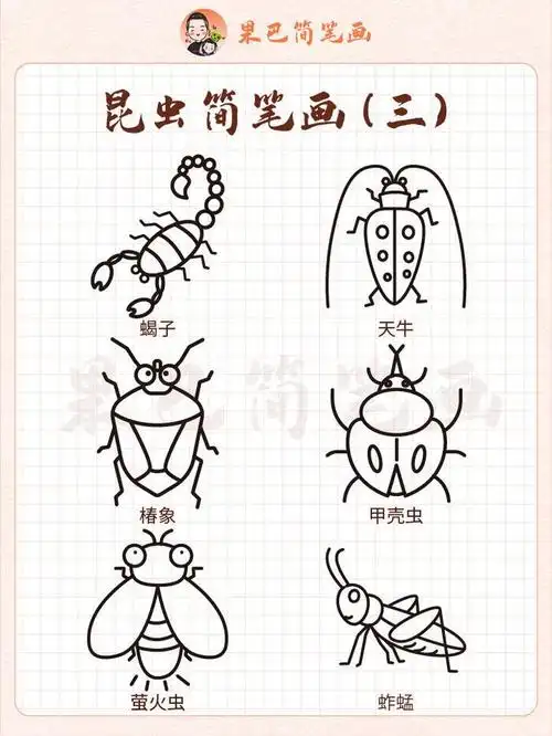 各种昆虫简笔画,喜欢的存好了