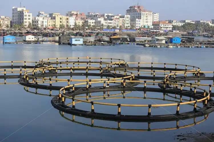 除了全国排名靠前的湛江港外,还有雷州湾,流沙港,乌石港,安铺港等渔港