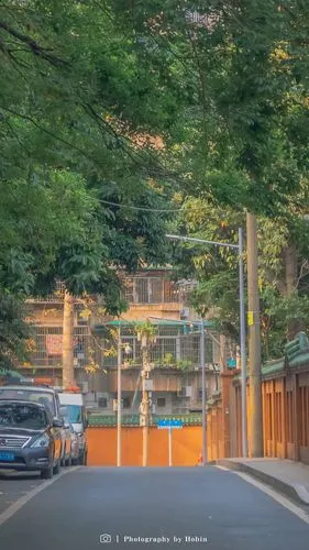 城市街道风景摄影手机壁纸_风景_手机壁纸下载_美桌网