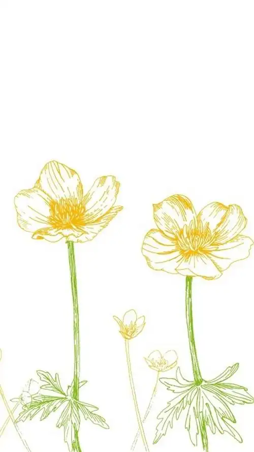 动漫壁纸——小清新手绘插画