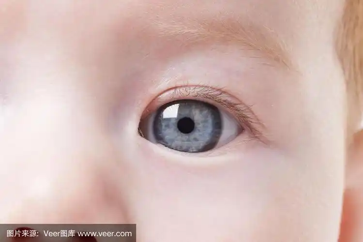 眼睛的宝宝