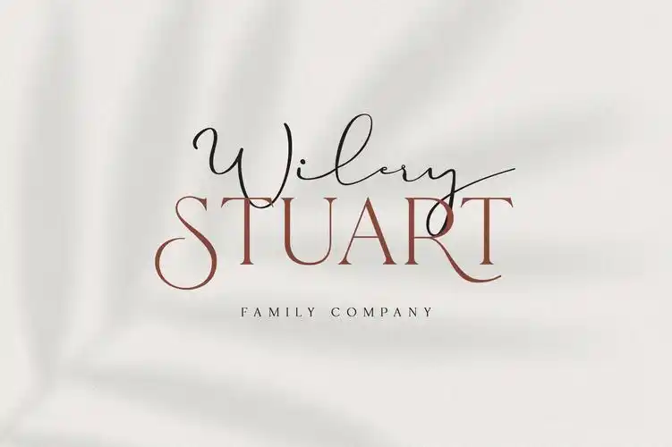 现代优雅杂志标题徽标logo设计衬线英文字体素材helloparis–variable