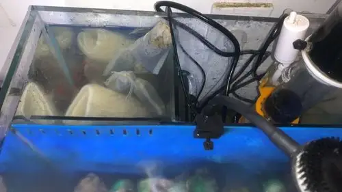 背滤鱼缸换完水后主缸水都满了,背滤格水位很低