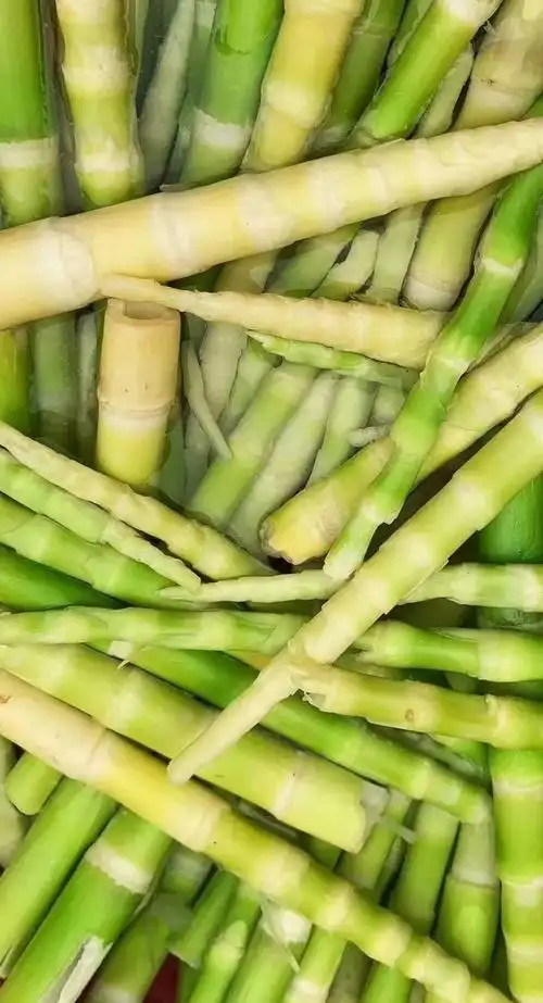 春游到江夏六条踏青线路来咯