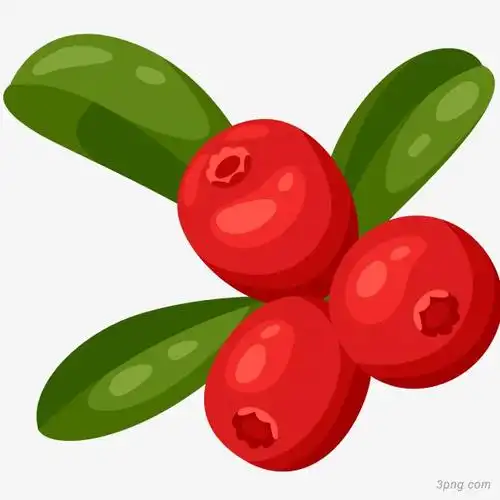 手绘红色山楂png素材透明免抠图片-卡通手绘