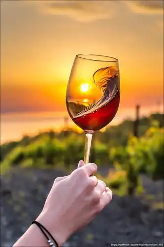 生活就像一杯酒