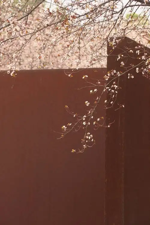 满园春色关不住,一枝红杏出墙来