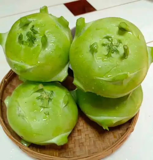 云南新鲜蔬菜苤蓝水果大头菜疙瘩菜新鲜苤蓝泡菜农家自种现摘现发新鲜