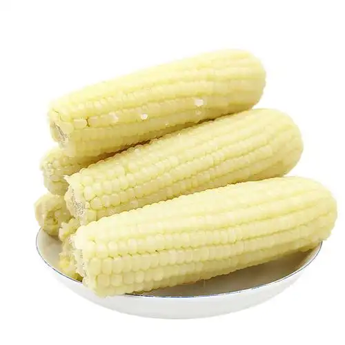 玉米棒年香家用软糯玉米东北白糯20根玉米