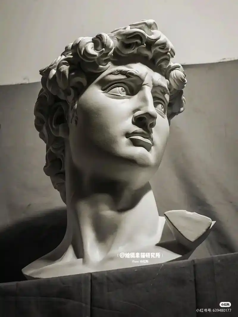 大卫石膏像素材
