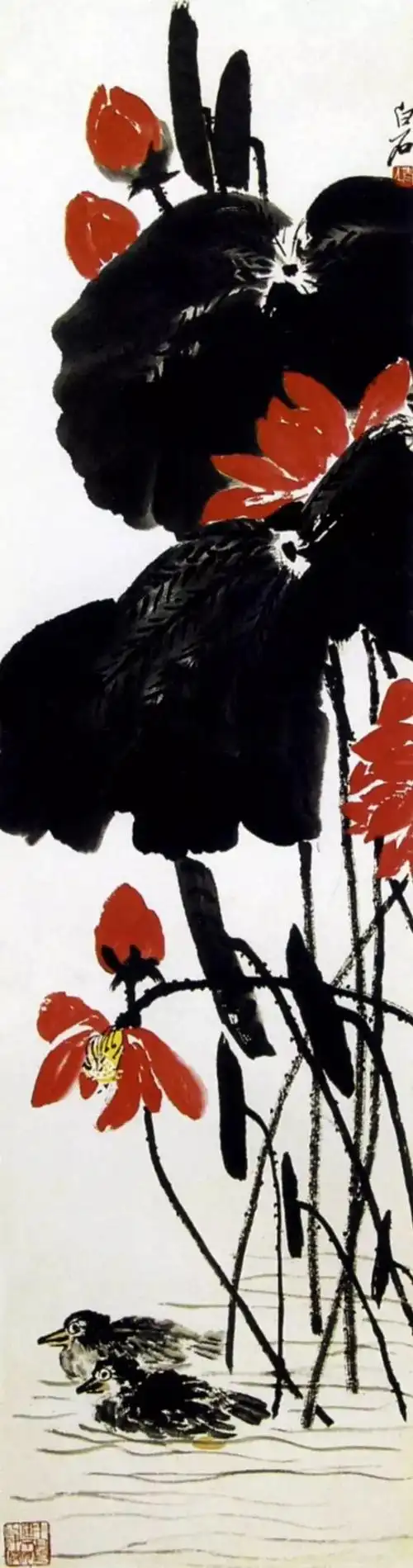 齐白石 荷花作品辑录_网易订阅