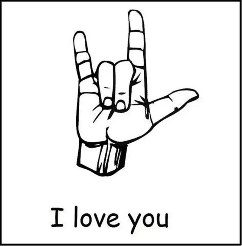 金星绝招手势(我爱你) 今晚看《美少女战士》时, "我不敢相信我花了20