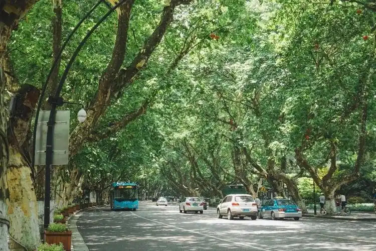 沿着西湖选出这7家!告诉你南山路上究竟藏着多少下午茶好去处