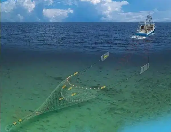 超大型拖网船就像吸尘器一样,将成千上万的鱼不论大小,不管鱼种,全都