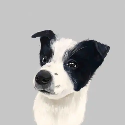 手绘狗狗头像太像了⑧