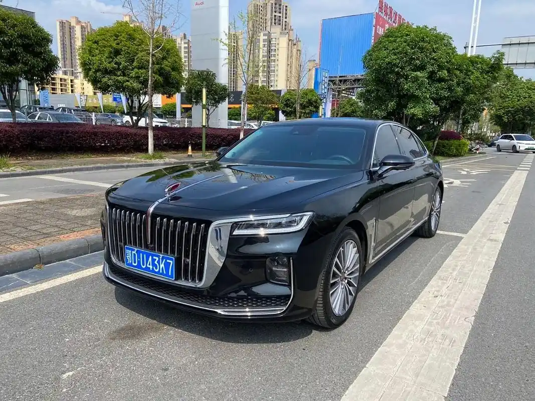 98w 红旗2020款h9 2.0t智联旗享版 2022年1月17日上牌 1.