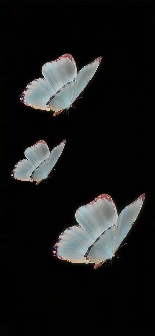 酷酷的黑色系壁纸