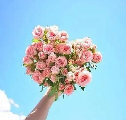 有深度有品味的句子发朋友圈配图高情商女人发朋友圈吸引男人