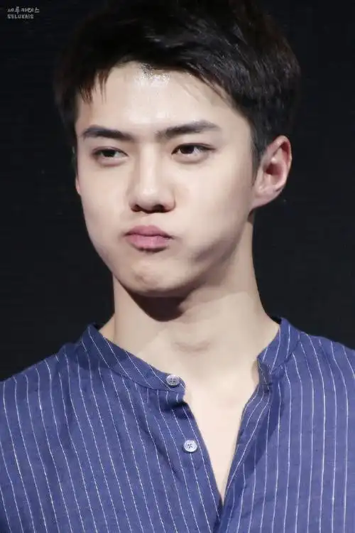 吴世勋##exo唯一官方门面吴世勋