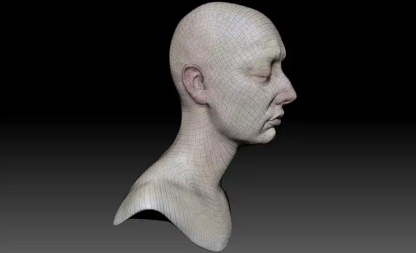 女性头部模型(obj和ztl)(米娅和她的姐妹/ andria)3d模型