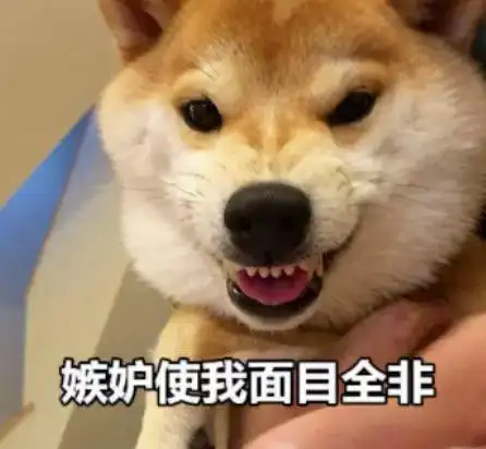 坐直了么还低头玩手机呢别看别人了说的就是你