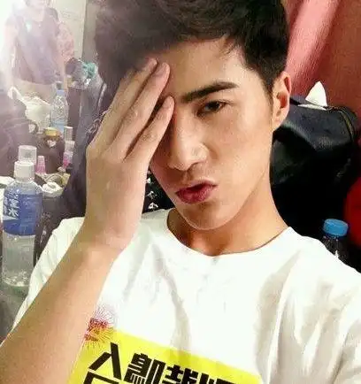 小时代席城的扮演者姜潮被疑脸部多处整容