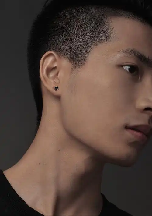 耳钉男潮黑色四叶草耳钉男士潮流个性款小众银饰宝石夏季嘻哈痞帅耳钉