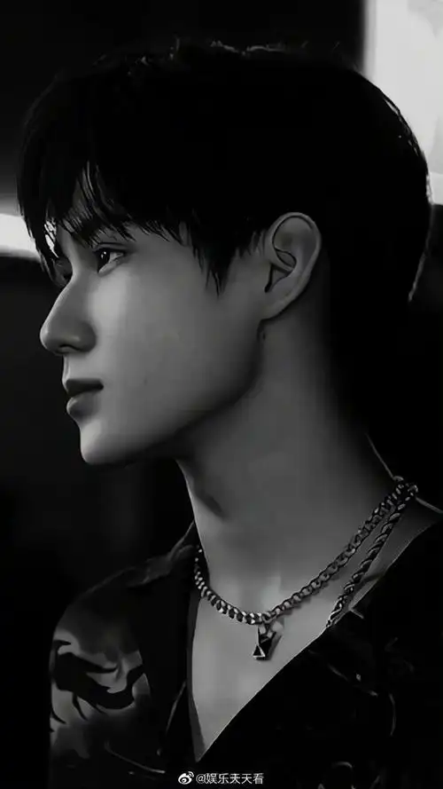 一眼难忘的浓颜系明星