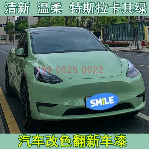 鹦鹉特斯 拉卡其绿汽车个性改色亮光油镜面漆进口清漆摩托车改色