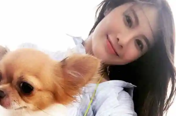 根据我的了解,刘俐是最近香港tvb当家花旦,但是年纪轻轻已经能够在tvb