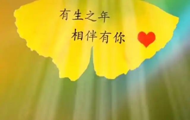 领悟,感情上的事本就是如人饮水,别人永远都无法感同身受……时光流转