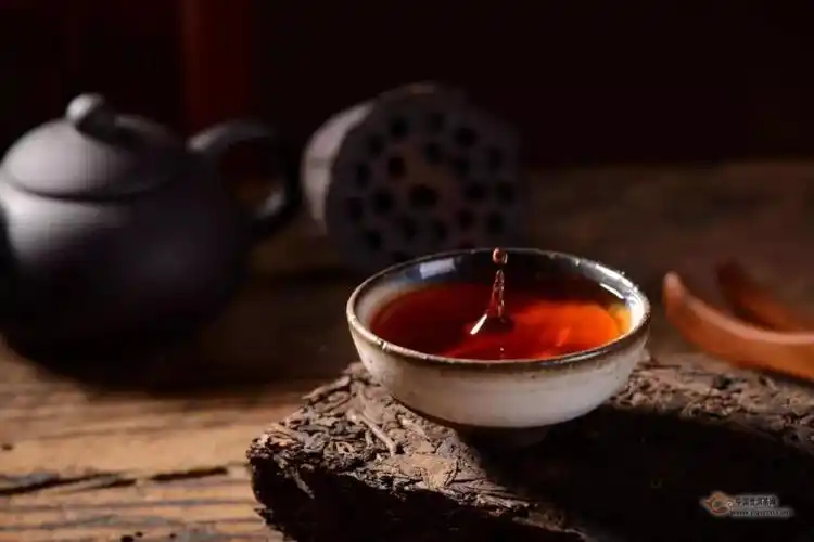 国家级泡茶师从不外露的泡茶秘密