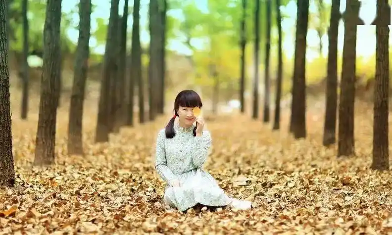 统计之花许玲玲