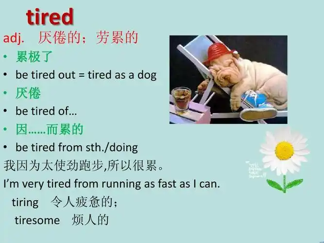 新二下lesson49 the end of a dream 上课用 非常完整!ppt