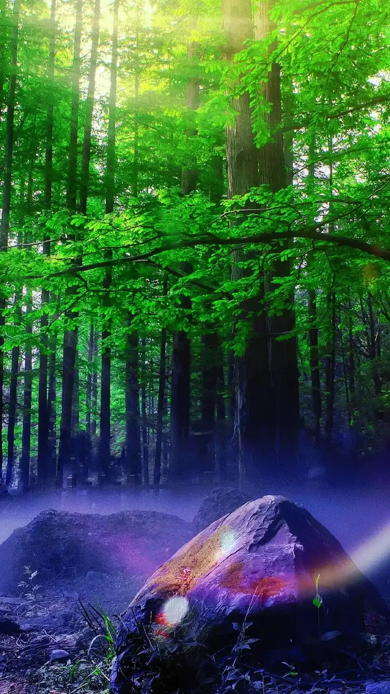 1080_1920竖版 竖屏