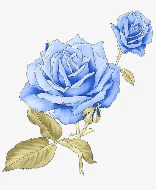关键词 : 手绘玫瑰蓝色花[声明] 觅元素所有素材为用户免费分享产生
