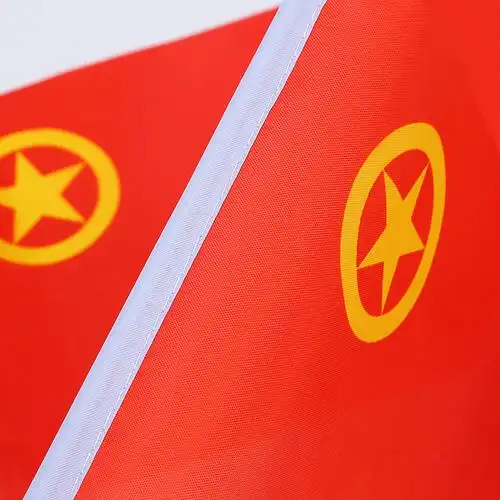 8号14*21厘米手摇小团旗 中国共青团团旗 手挥旗 八号团旗