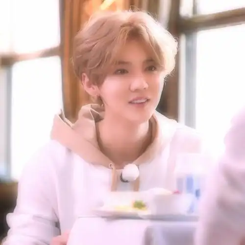 自修鹿晗爱豆头像