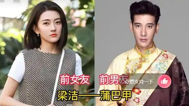 娱乐圈隐藏太深的明星前任,蔡少芬和吴奇隆相恋多年,靳东江珊?