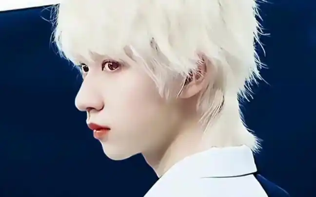 贺峻霖孤独怪物 清冷系爱豆