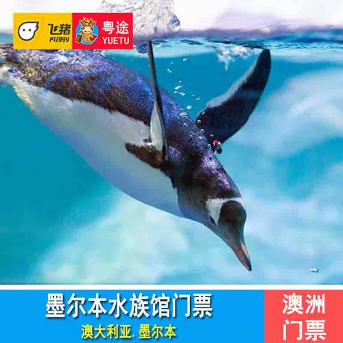 [墨尔本水族馆-大门票]墨尔本海洋生物水族馆sea life