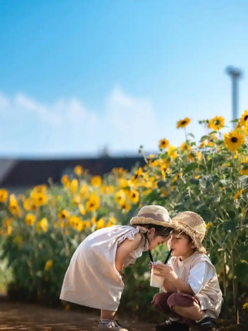 在这个阳光明媚的午后,我带着我的两个小可爱——大宝和二宝,来到了