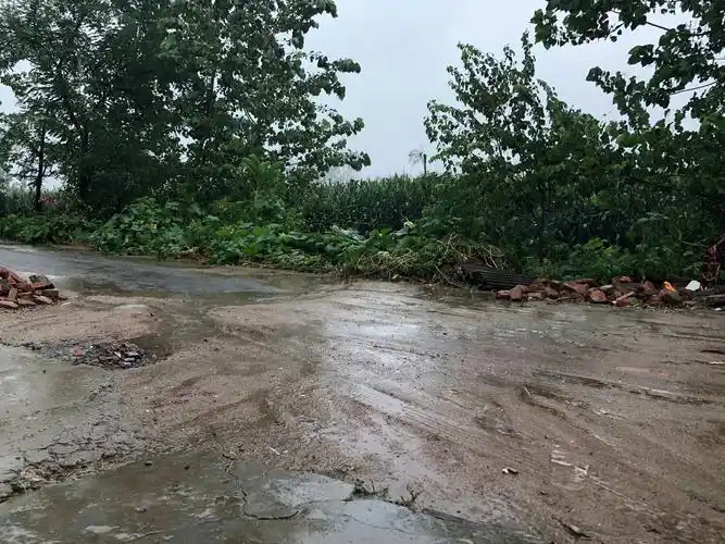 看看雨中的农村美不美