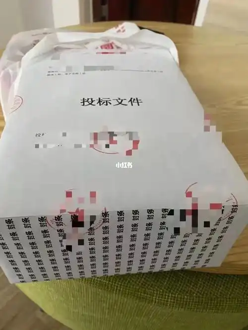 写标书封标书继续ing