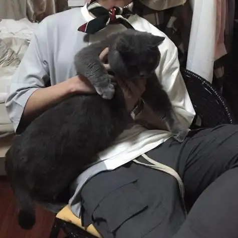 抱猫头像男不露脸 - 搜狗图片搜索