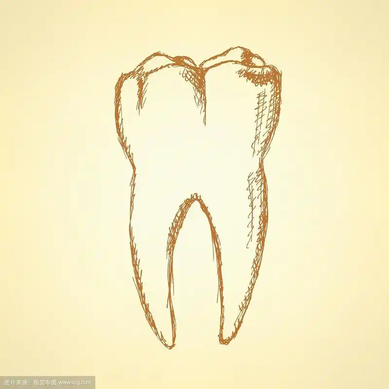素描牙齿,矢量复古背景