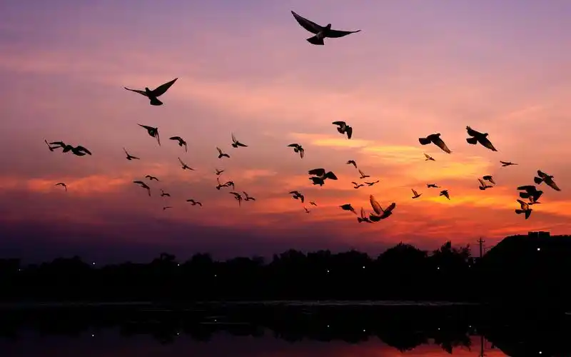 傍晚最美的夕阳风光