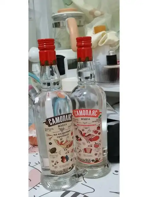 返校第一part,小鸟伏特加